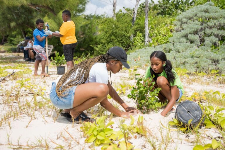 Praise and thanks to BNT and The Sandals Foundation for continually striving for the best for our country. The volunteers who devote their time and efforts should be applauded as well. #BahamasStrong #BahamianPreservation ewnews.com/1000-trees-pla…