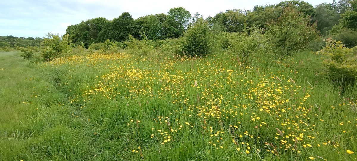 Friends Of Whitewebbs tweet media