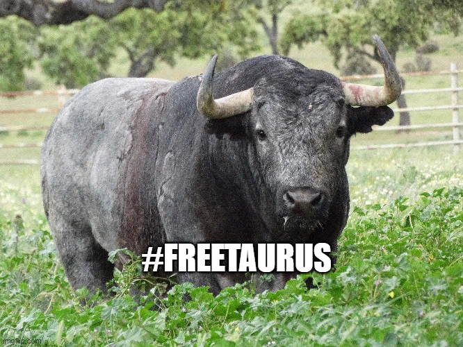 F3QpG3yWEAACsrF?format=webp&name=small