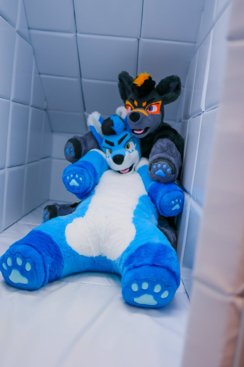 Bsky: zangos.place tweet media