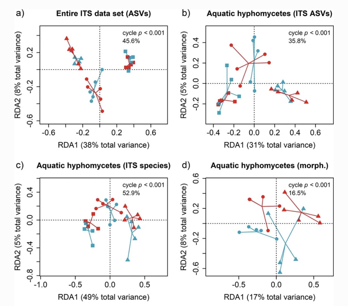leeselab's tweet photo. 📖 Study on #stressor effects on freshwater microbial communities out 👍🏼Collaboration of @LandscapEcology &amp; our lab, lead by @rksalis &amp; Verena Schreiner. 🔬&amp; 🧬 ID showed similar responses of fungal communities to fungicides/exposure cycle https://t.co/W65obzrnA4 @aleph_reish https://t.co/k3hzUClCPE