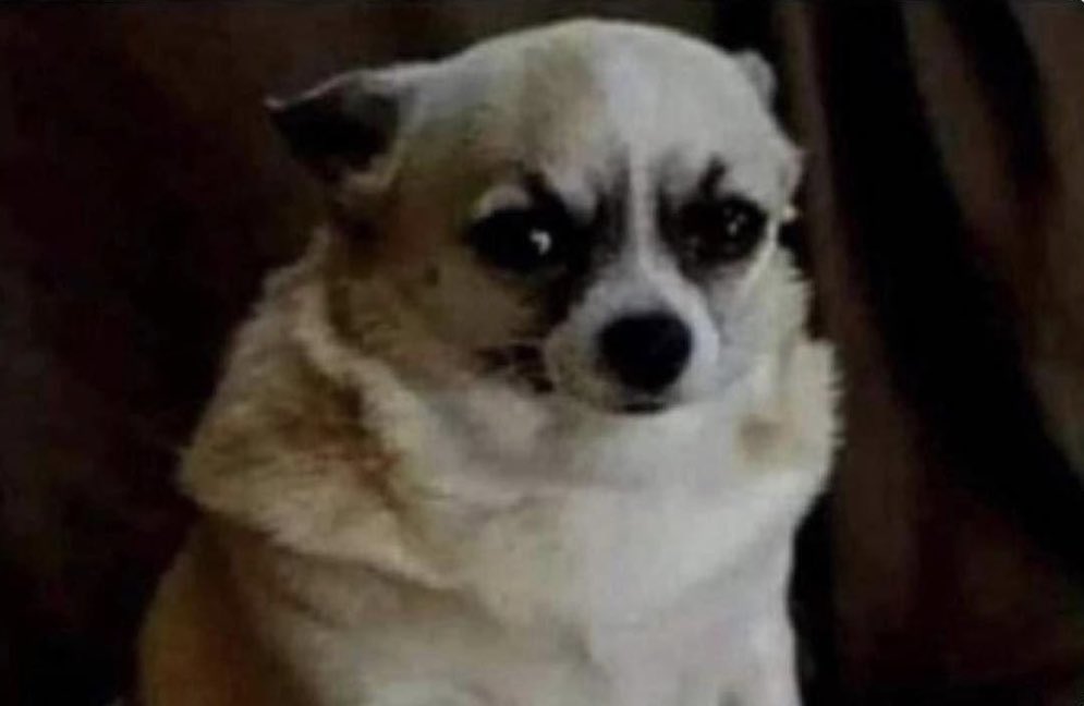 - como te levantaste hoy?

- obligado