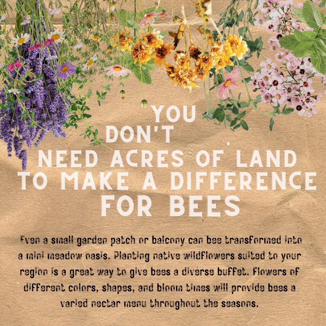 EDINBURGH HONEY CO. tweet media