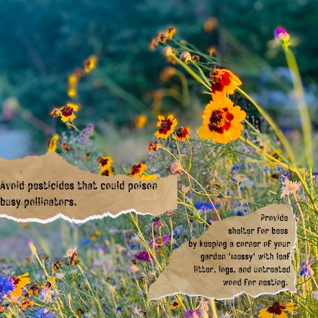 EDINBURGH HONEY CO. tweet media