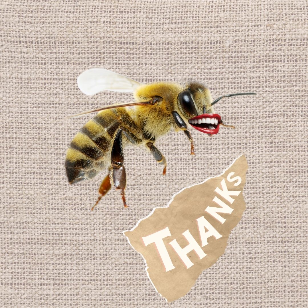 EDINBURGH HONEY CO. tweet media