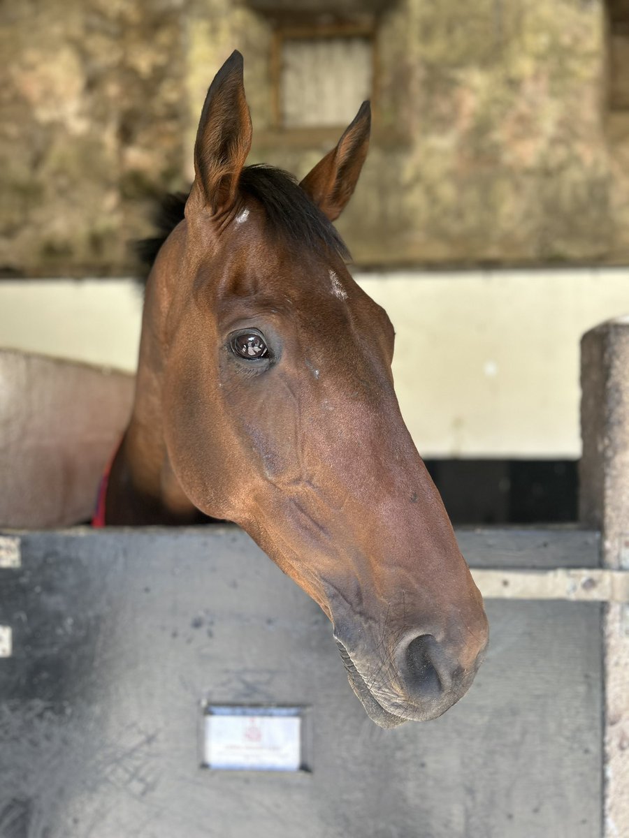 Catriona Bissett tweet media