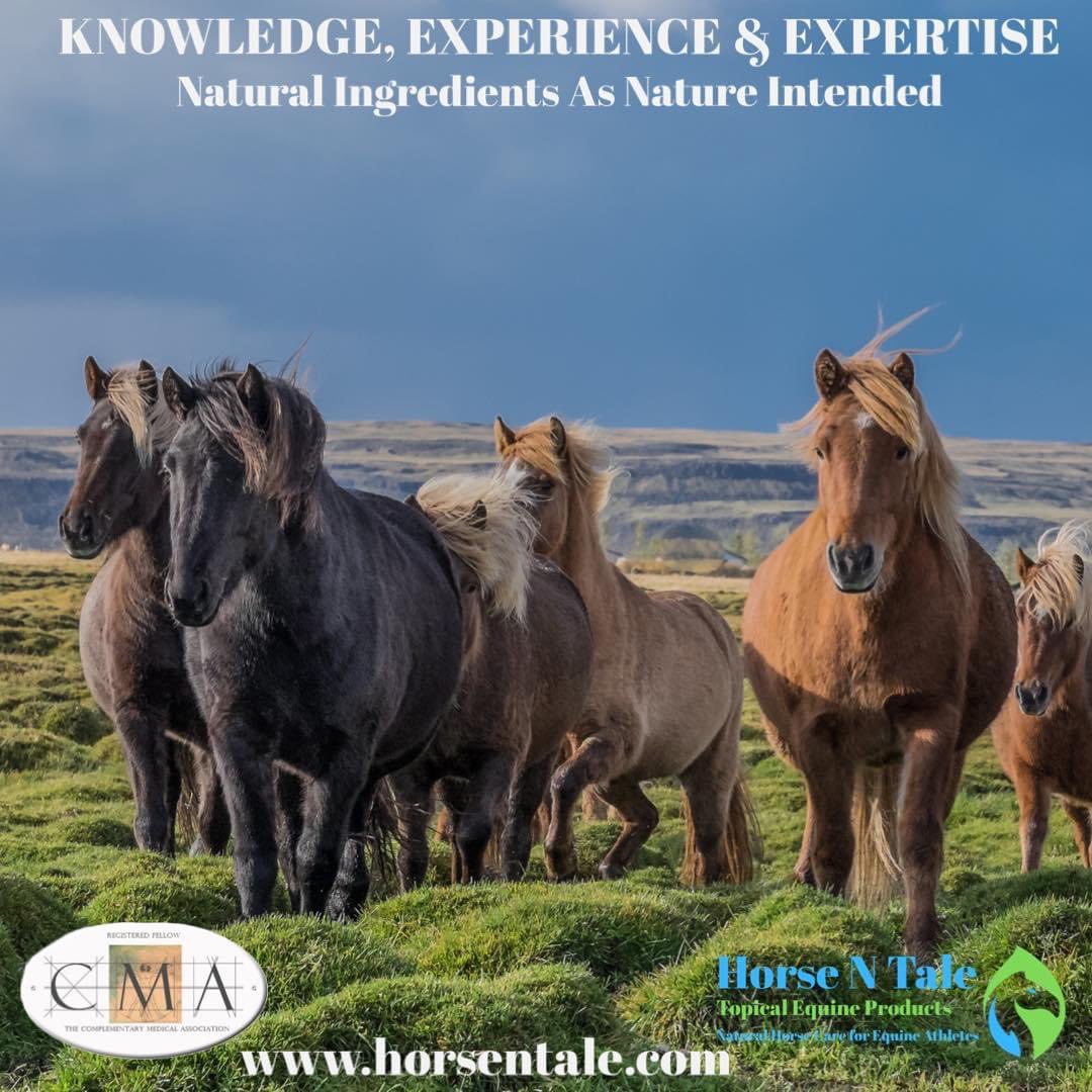 When you purchase our products your buying natural horse care products with decade’s of expertise and training backing them.
#horsentale #topicalequineproducts #naturalhorsecare #equine #horse #horseproduct #horseproducts #naturalingredients #horsesupplies #naturalequineproducts