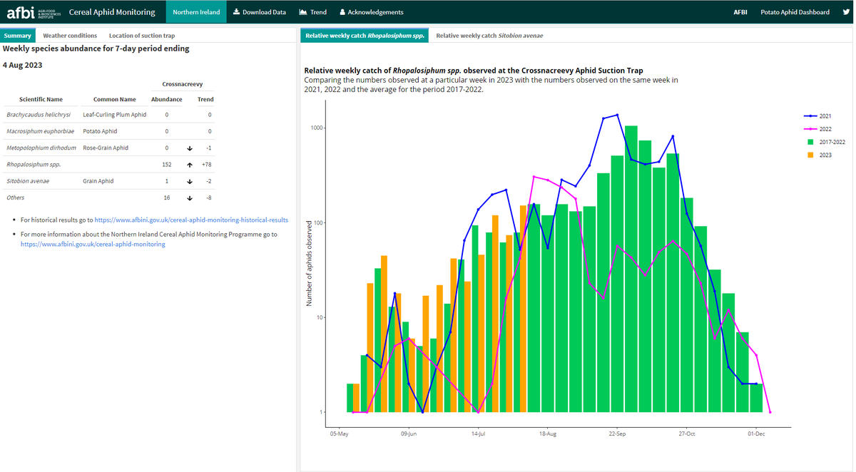 Aphid Monitoring in Northern Ireland tweet media