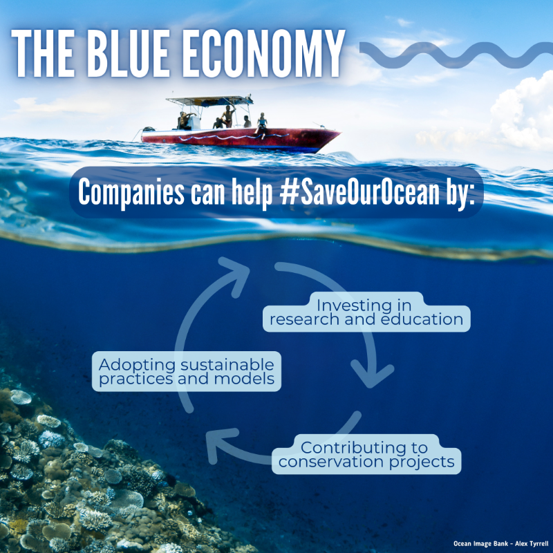 UNEP's tweet photo. Promoting the blue economy is vital for economic prosperity &amp; ocean conservation, offering a roadmap for a sustainable future for generations to come.

Companies, investors, policymakers &amp; governments can all join forces to #SaveOurOcean.