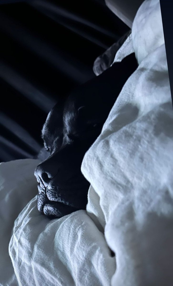 Just after my beauty sleep ✨💟