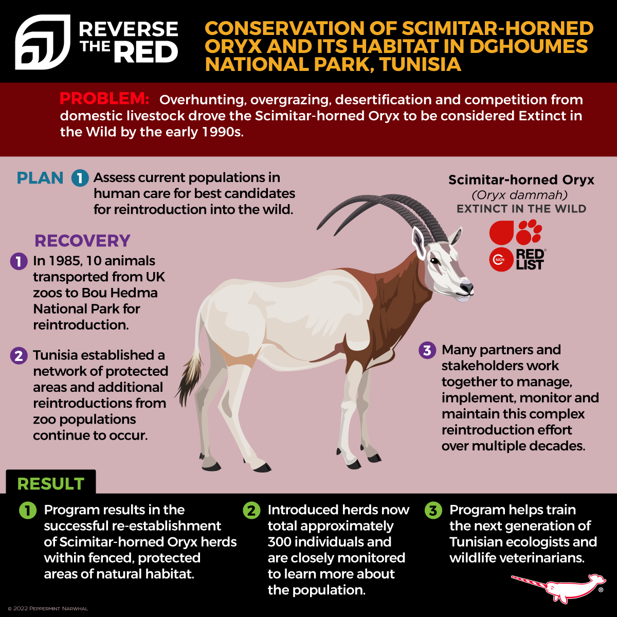 Reverse the Red (@reversethered1) on Twitter photo Sharing more here about the efforts to #ReverseTheRed for the Scimitar-Horned Oryx!
Find out more at: reversethered.org/stories/scimit…
Case study graphic from <a href="/PepomintNarwhal/">Peppermint Narwhal</a> #AugustIsForAntelope Sharing more here about the efforts to #ReverseTheRed for the Scimitar-Horned Oryx!
Find out more at: reversethered.org/stories/scimit…
Case study graphic from <a href="/PepomintNarwhal/">Peppermint Narwhal</a> #AugustIsForAntelope