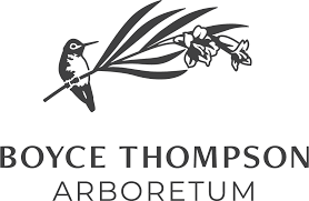 Position Announcement: Boyce Thompson Arboretum is seeking a new Executive Director. Read more about this opportunity here: …nassociates-jobsite.filefinder.online/Jobs/Details/7…