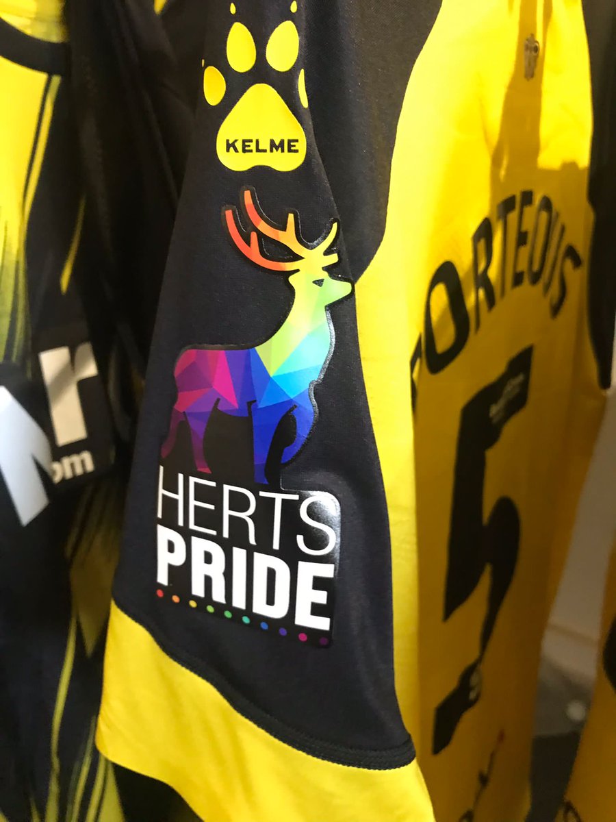 Proud Hornets 🏳️‍🌈🏳️‍⚧️ tweet media