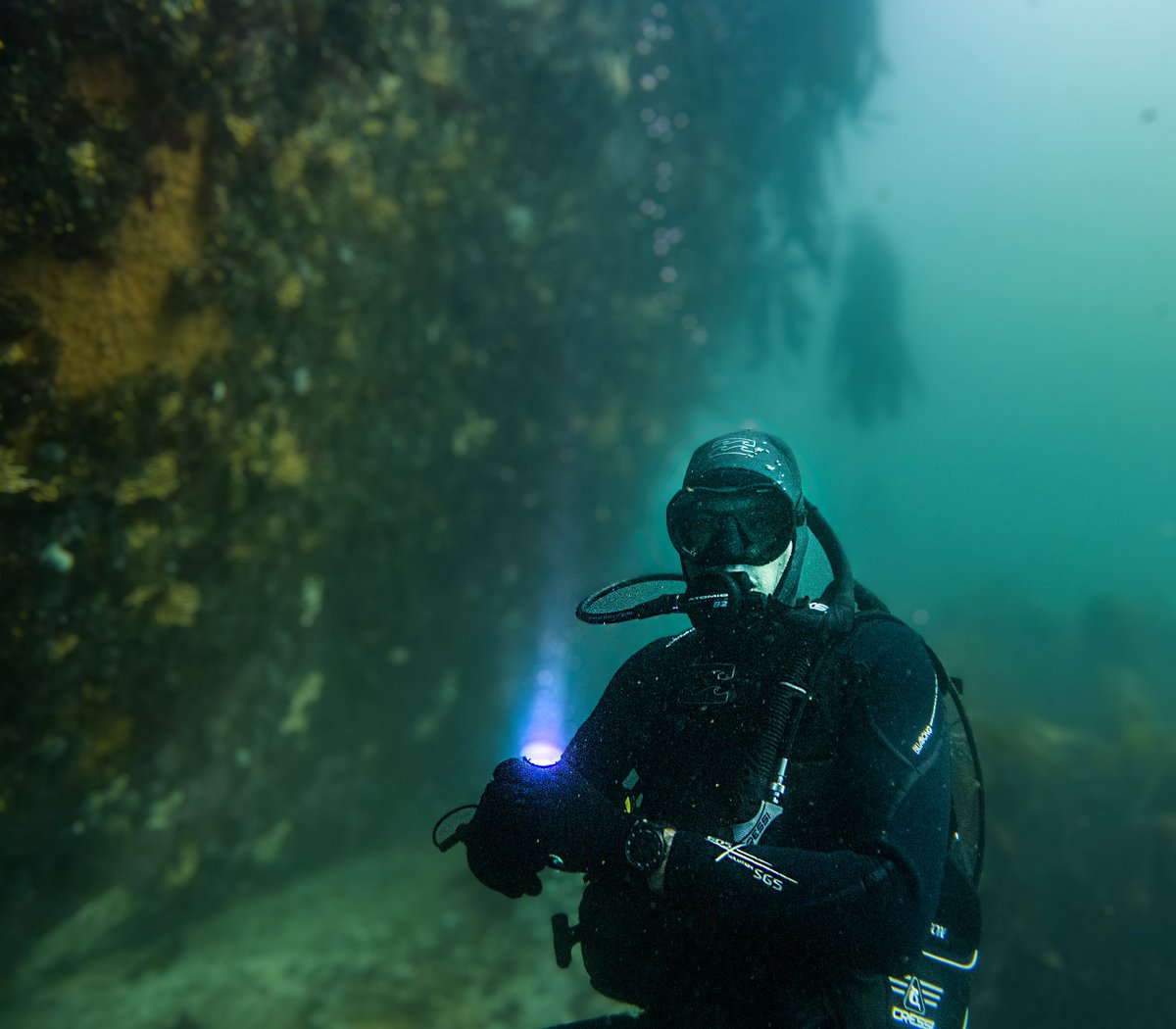 FreediverHD tweet media