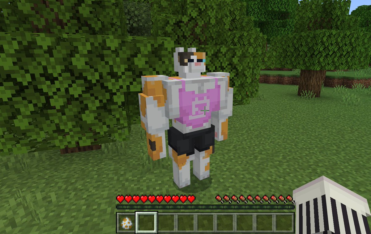 Victorsr tweet media