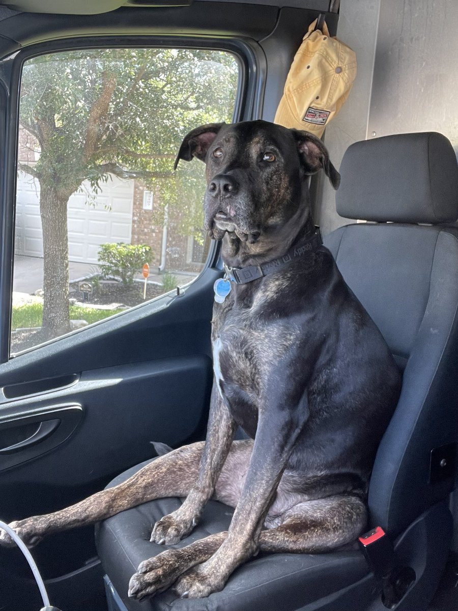 Scoob ready to work