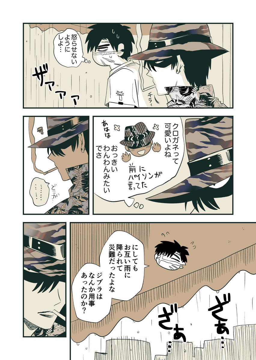 全8p 