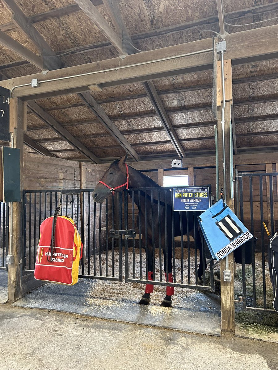 TeamHoch's tweet photo. All settled in for the afternoon! #Patch30 https://t.co/qWH1XGNS6e