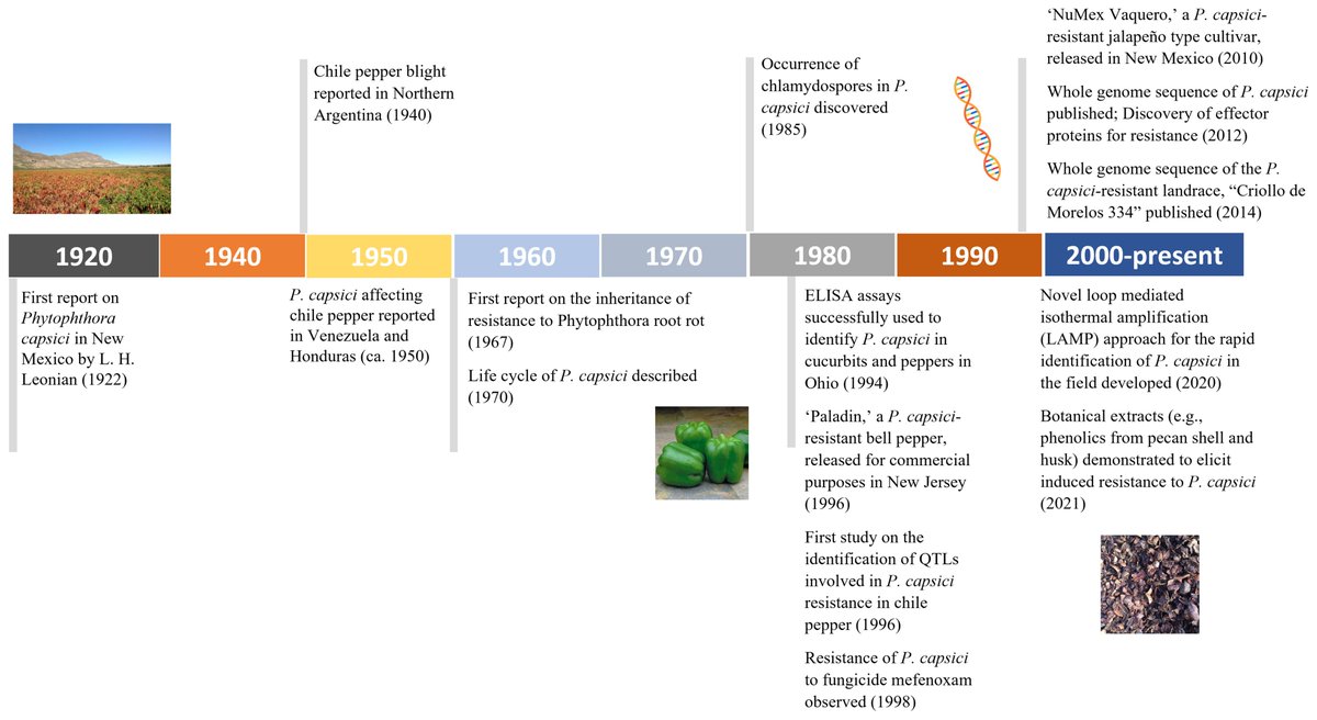 PhytopathologyJ's tweet photo. Soum Sanogo et al. succinctly review the significant mile markers, from 1922 to 2022, of research on Phytophthora capsici and discuss current perspectives on this pathogen.
🔓 Read now: https://t.co/y5chzYw6dH
#Phytophthora #plantpathology https://t.co/tKNh9gZqXx