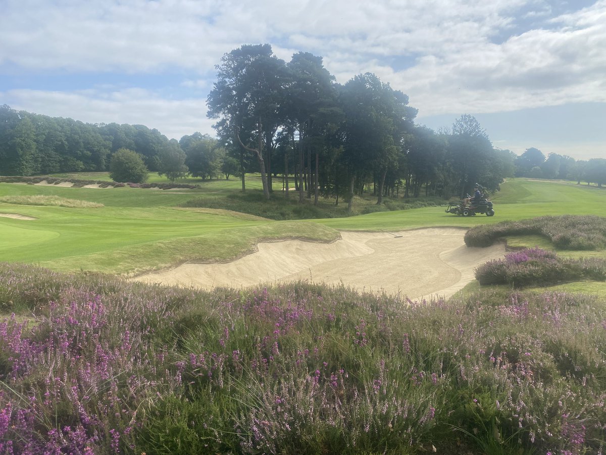 Another busy week @StonehamGC. Loving the colour from the heather following the wet period. Fantastic work from #TeamStoneham. Busy weekend incoming 💪🏻