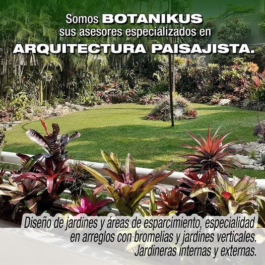 Un jardín bien diseñado y apaisado puede embellecer tu entorno y brindar una sensación de paz y tranquilidad, a la vez que puedes disfrutar de un espacio naturalmente hermoso y atractivo.
Visita: botanikusve.com
+58 414 2300833