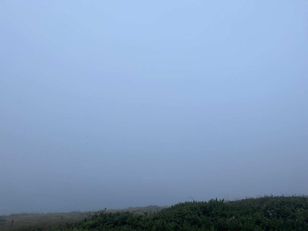 Vertiworks's tweet photo. @WykeCreative There’s a beach somewhere in front of me….. https://t.co/7JnWfgAyoT