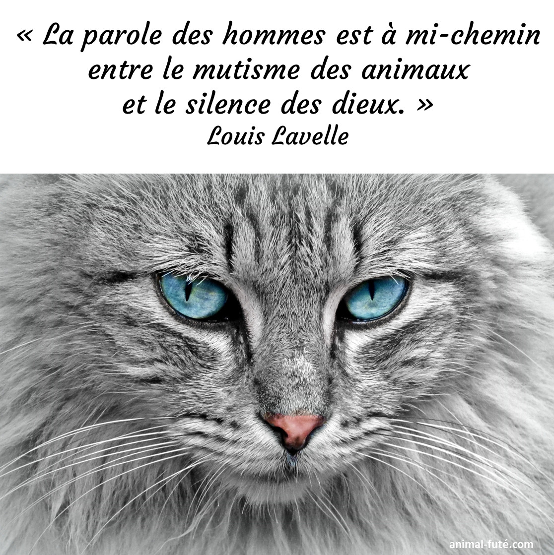 AnimalFute's tweet photo. https://t.co/7eVleL7ZiX
Animal Futé vous souhaite un bon week-end et encore des échanges de garde sympathiques https://t.co/yYEWl6dDJ3
