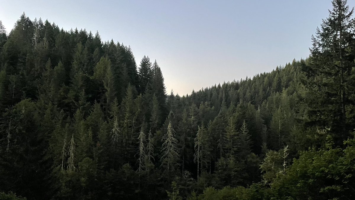 Jeff Patterson tweet media