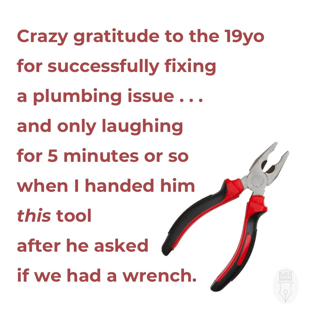 a Castle story tweet media