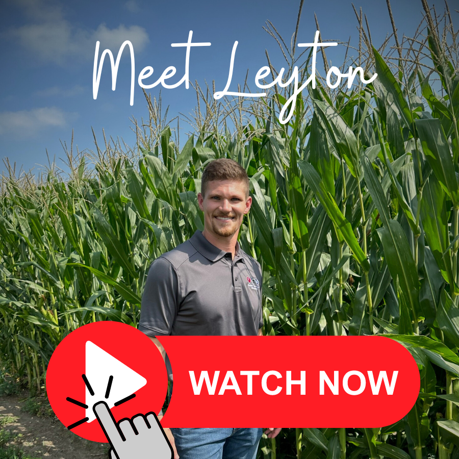 ilcorn's tweet photo. Get to know a Conservation Specialist in central Illinois by watching this video: https://t.co/FrVMVqMmn0

@ILSoybean @ilcorn_PCM https://t.co/lM4Uos6oE0