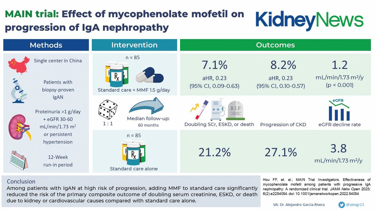 Should mycophenolate mofetil be used in immunoglobulin A nephropathy? bit.ly/45pFn5C