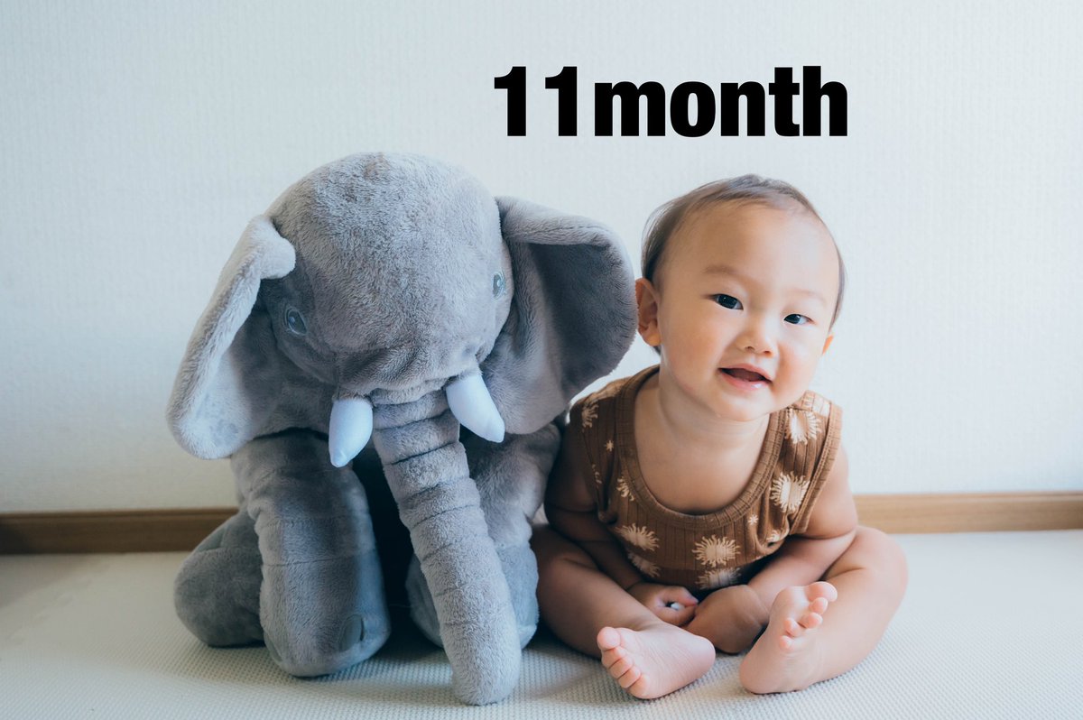 lp___215's tweet photo. 8/11
次男の1歳の誕生日でしたぁ🐘
11ヶ月間撮りためてたもの。
大きくなったね。 https://t.co/gu1b9UVAst