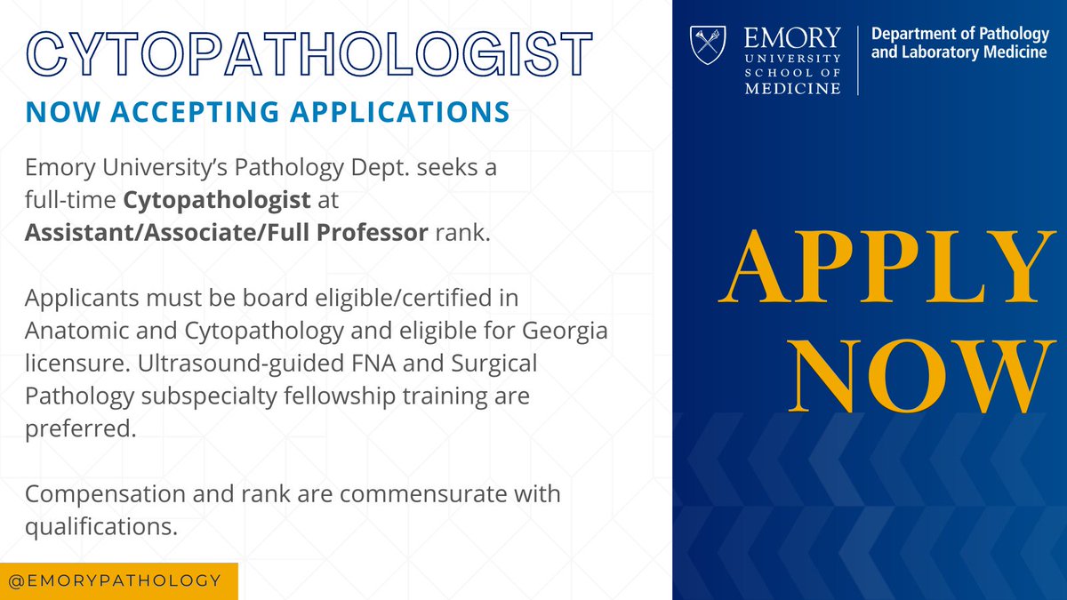 EmoryPathology's tweet photo. @EmoryPathology is currently seeking an Academic Cytopathologist
💡Please complete the online application https://t.co/a46uFK5RjG and direct inquiries to Dr. Genega, c/o marcie.m.ansari@emory.edu
#EmoryPathology #Cytopathology #PathTwitter #MedTwitter #PathologyJobs https://t.co/hHR7qTjzoc
