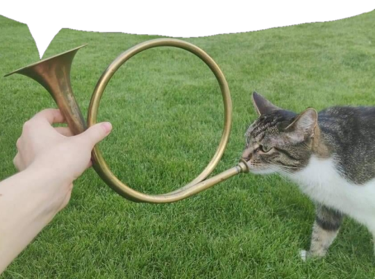 whats this little fellow saying