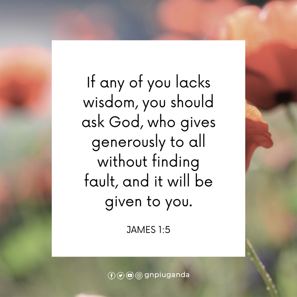 gnpiuganda's tweet image. Seek wisdom from God through prayer. God is willing to provide wisdom generously to those who ask for it, without reproach.

#wisdom #seekHim #FindingGod #GNPIUganda