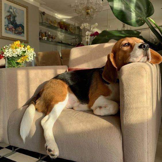 It's great to be in the sun early in the morning ❤️