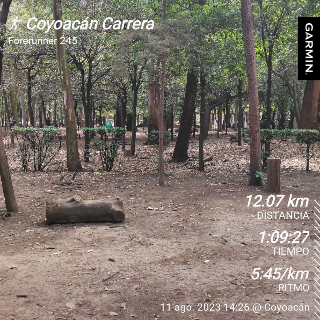 curiscorp's tweet photo. #EntrenandoAndo
👊🏻💪🏻🏃🏻♂️
#garmin #beatyesterday https://t.co/NiyjfmXPAS