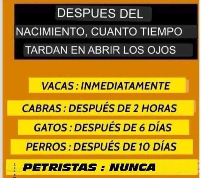 Meimportakk's tweet photo. @labrujavolando @petrogustavo Jajajajaja faltó El Nivel EXTREMO dónde se encuentra @labrujavolando .. NUNCA Y CON SORDERA https://t.co/4B9rxpqATg