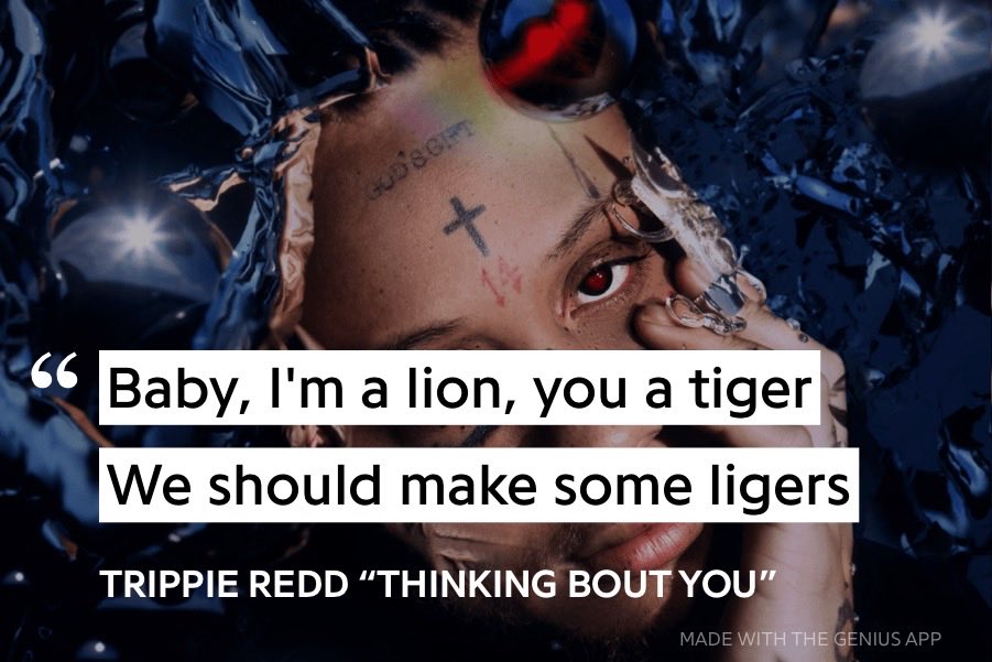 Wost🕷️ tweet media