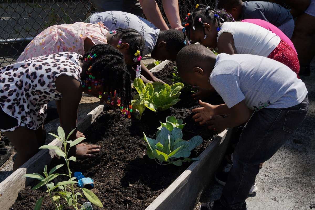 BostonSchools's tweet photo. Today we wrap up a Spectacular Summer of Learning at Boston Public Schools! This year's summer programming truly brought out the best in our student's passions and potential, from STEM programs to creative writing and art exploration and sailing Boston Harbor! #BPSSummer https://t.co/ZyvqhHGc14