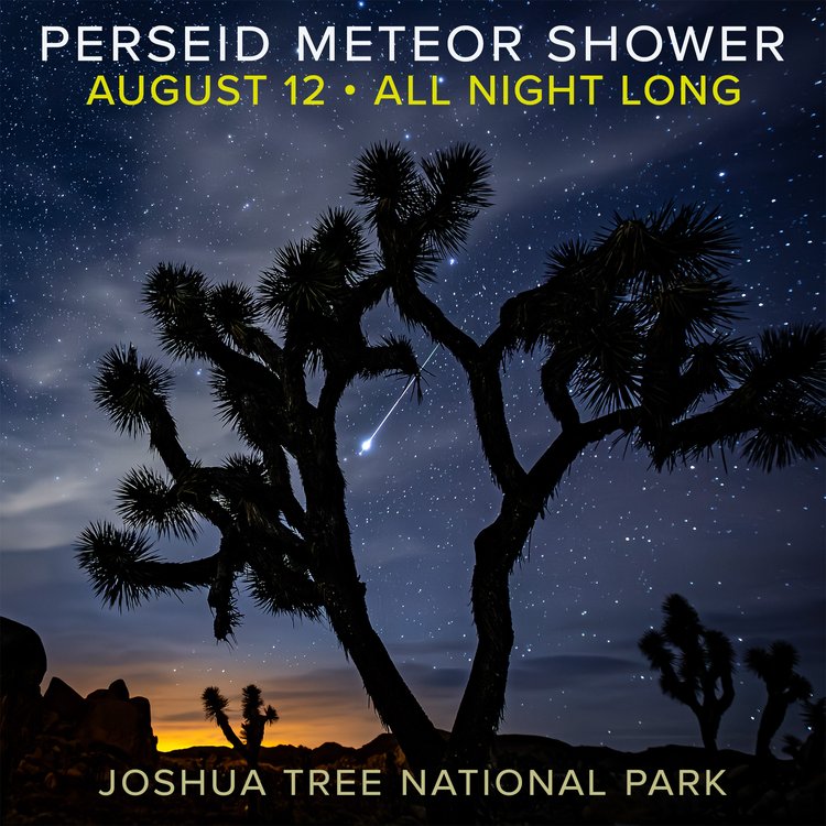 California Welcome Center: Yucca Valley tweet media