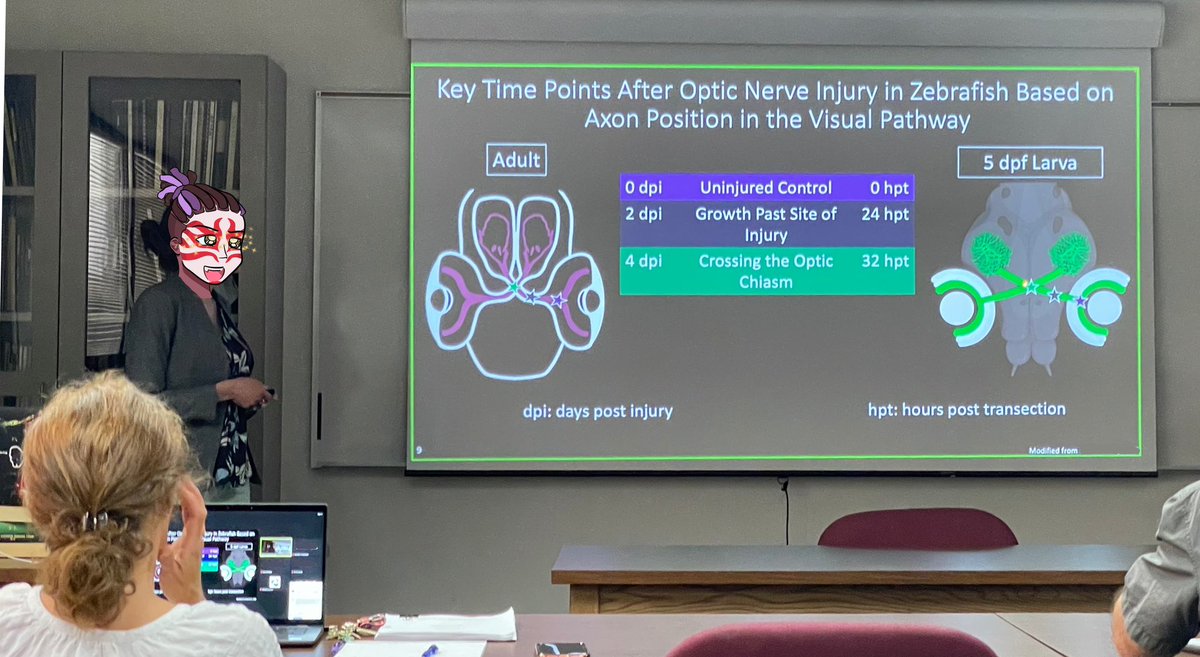 Sarzich 🐉⛩️🐇 tweet media