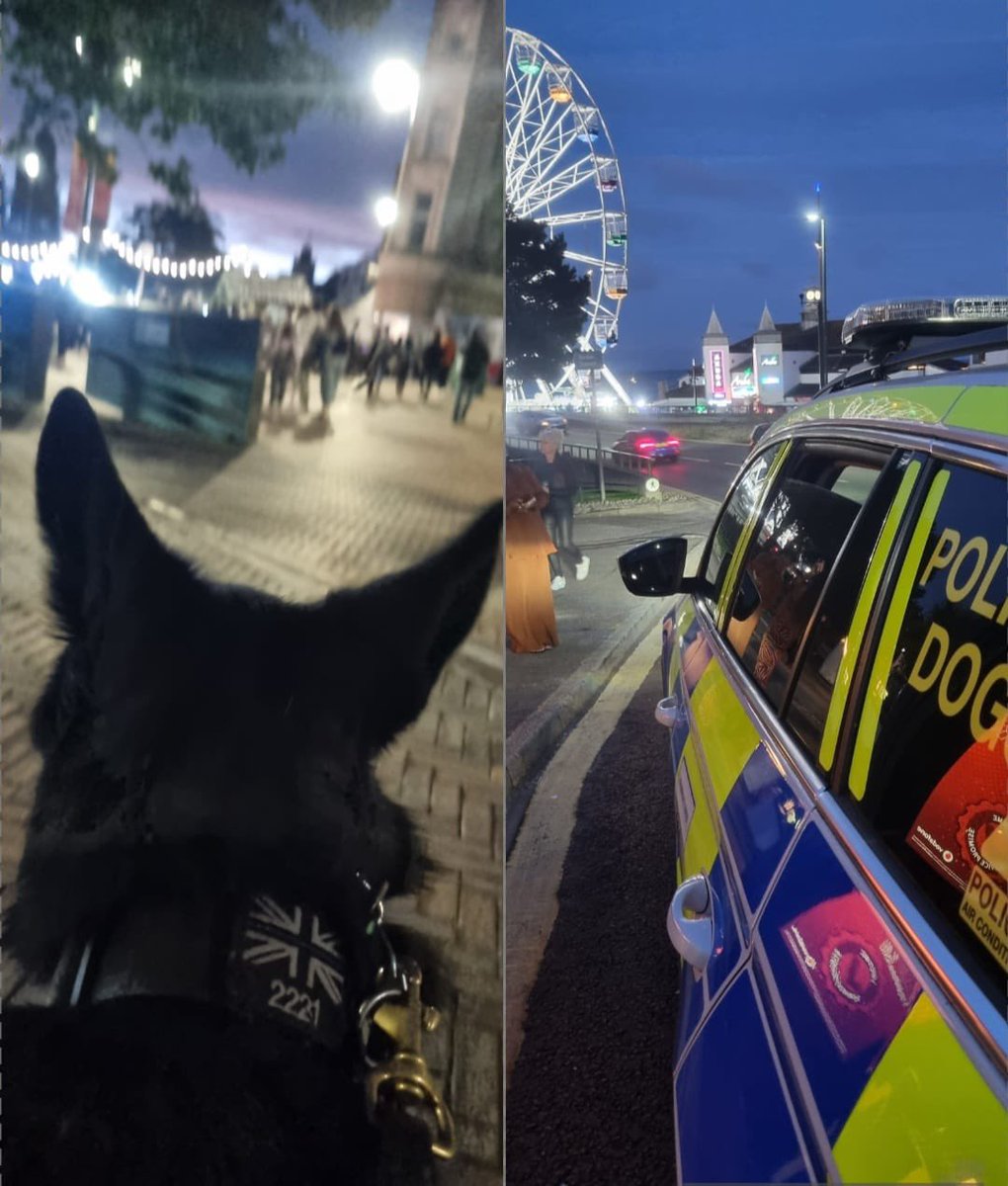 PoliceDogDorset's tweet photo. PD Hunter has been supporting local officers patrolling Bournemouth Square and the Gardens this evening 🐾

#dorsetpolice #policedogs #GSD #GPD https://t.co/I6fpXWpOrU