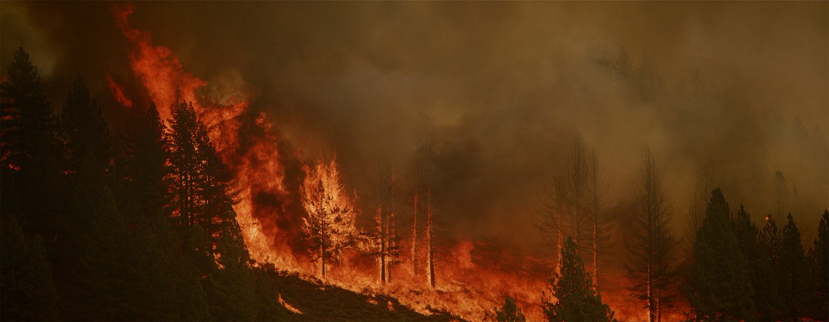Hotshot_Movie's tweet photo. There is so much disturbing nonsense going around about #wildfires right now. Take a break from the BS and go see Hotshot. It is a sober, no BS documentary shot over nearly a decade on the fireline. it is THE wildfire movie. Get educated: 
https://t.co/lEoEUhck3q https://t.co/dqefRBrnpu