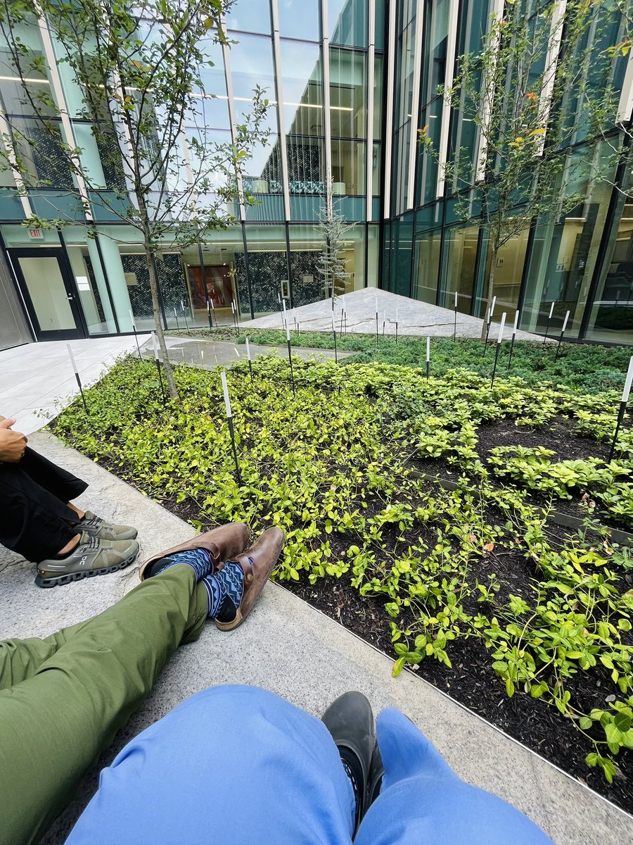 Post-shift feedback in the serenity garden. 

10/10 would recommend.  <a href="/TamingtheSRU/">UC EM Residency</a>