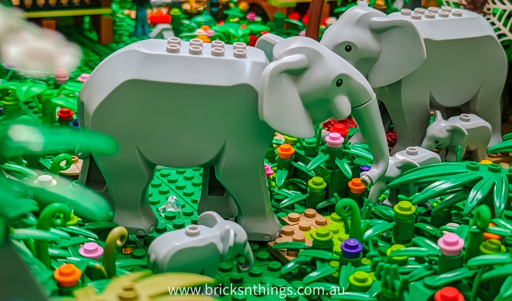 Let's unite in celebrating and protecting these remarkable animals on World Elephant Day and every day! 🌍🐘 Together, we can make a difference and secure a brighter future for elephants.

#rainbowbricks #LEGO #elephants #legoelephant #WorldElephantDay #Conservation