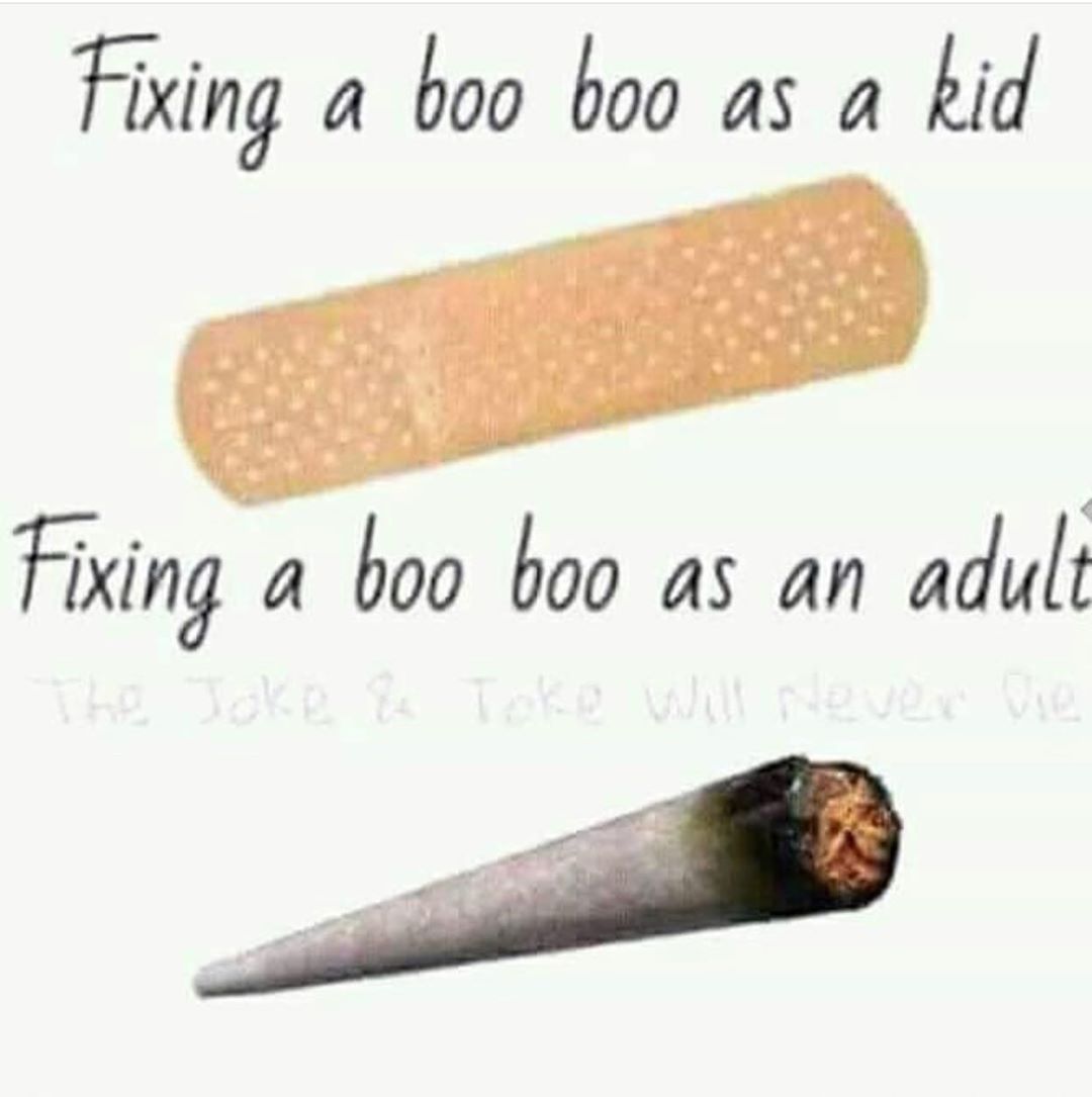 Facts 😂