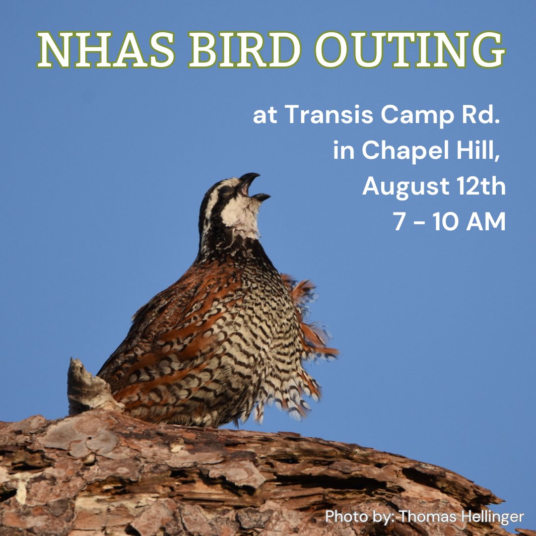 Tomorrow!! 🐦 We hope to see you bright and early with us for some late-summer birding in Chapel Hill. New birders welcome, carpooling encouraged! More info:   newhopeaudubon.org