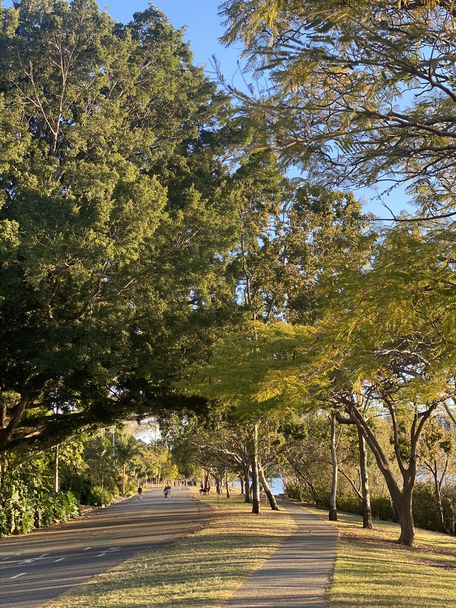 Амралтын өдрийн мэндэ