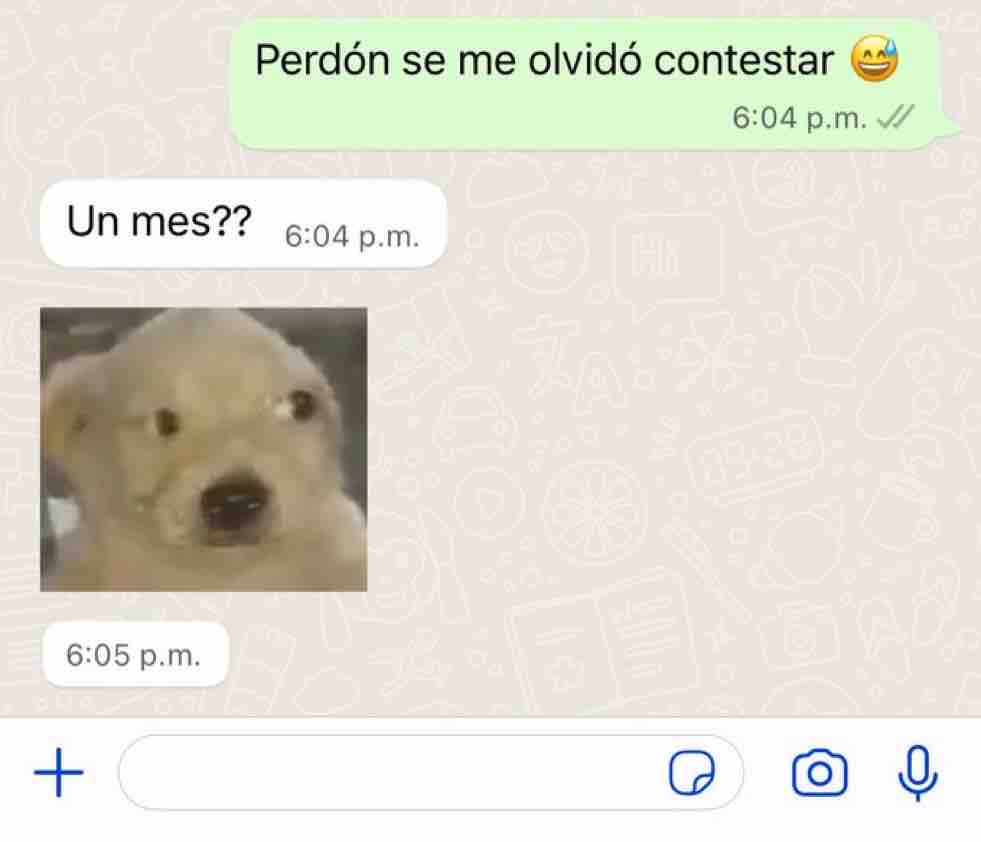 Guarromantico_'s tweet photo. Yo: Por qué nadie me habla?

Also yo: https://t.co/SEaD607rjF